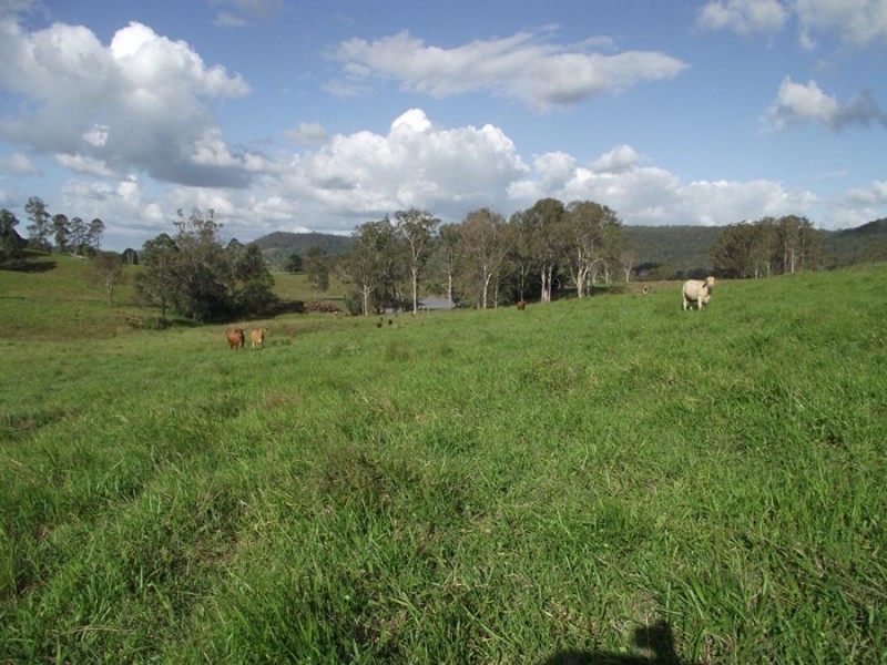 Glastonbury QLD 4570