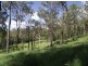 Brooloo QLD 4570