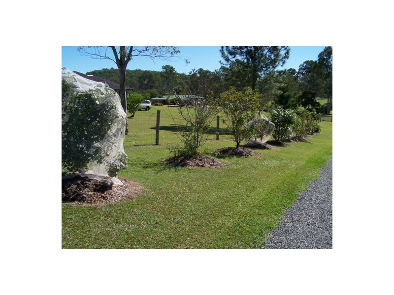 19 Sturgess Road, Pie Creek QLD 4570