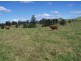 Mooloo QLD 4570