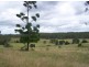 Gundiah QLD 4650