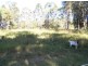 73 Lymburner Road, Pie Creek QLD 4570