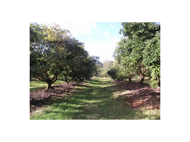 L 237 Amamoor Creek Road, Amamoor QLD 4570