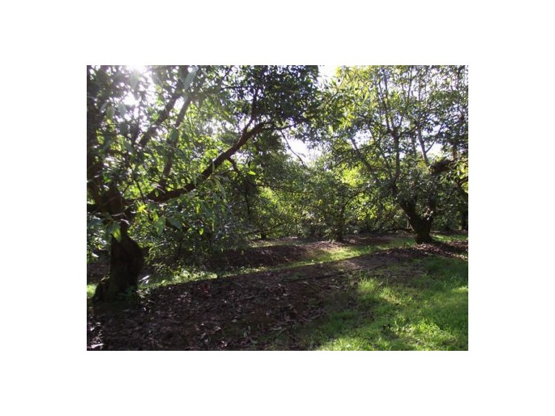 L 237 Amamoor Creek Road, Amamoor QLD 4570