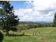 Black Snake QLD 4600
