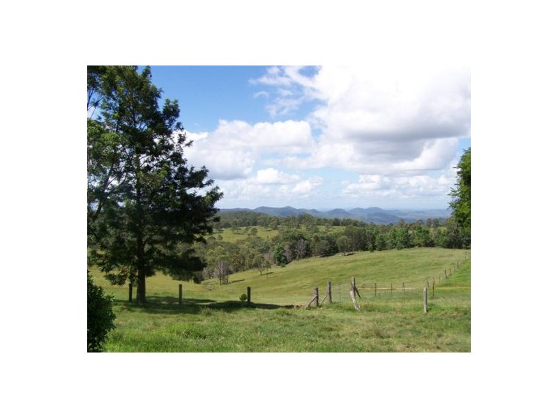 Black Snake QLD 4600