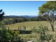 Black Snake QLD 4600