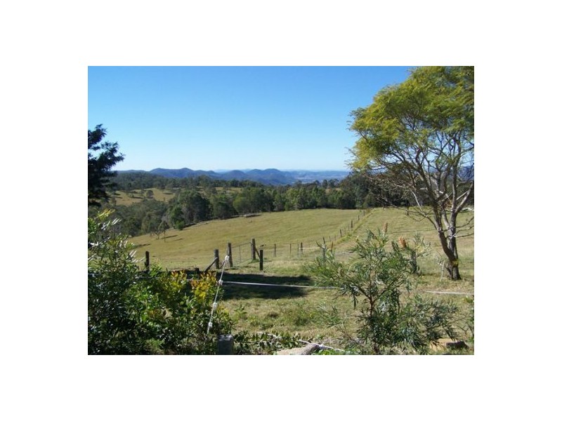 Black Snake QLD 4600