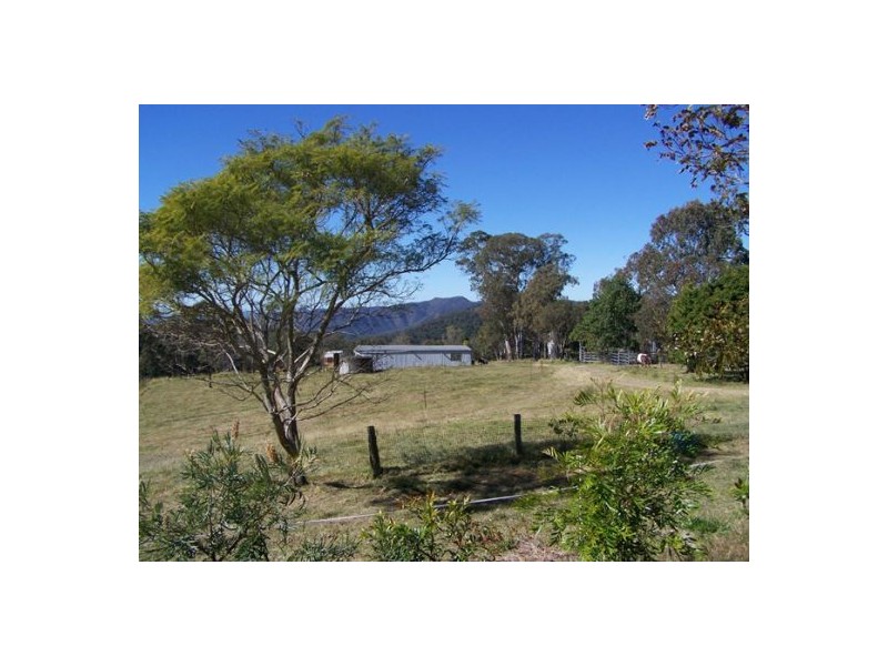 Black Snake QLD 4600
