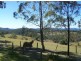 Black Snake QLD 4600