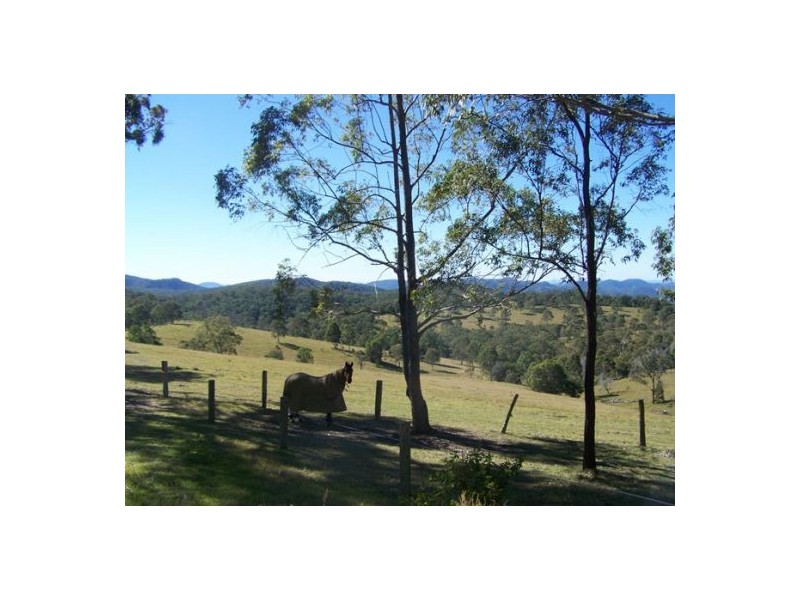 Black Snake QLD 4600