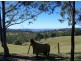 Black Snake QLD 4600