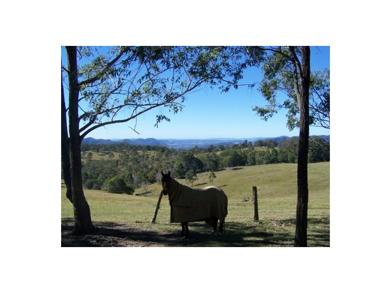 Black Snake QLD 4600