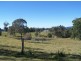 Black Snake QLD 4600