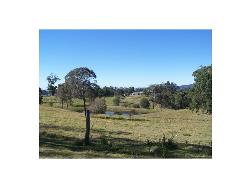 Black Snake QLD 4600