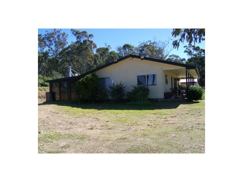 Black Snake QLD 4600