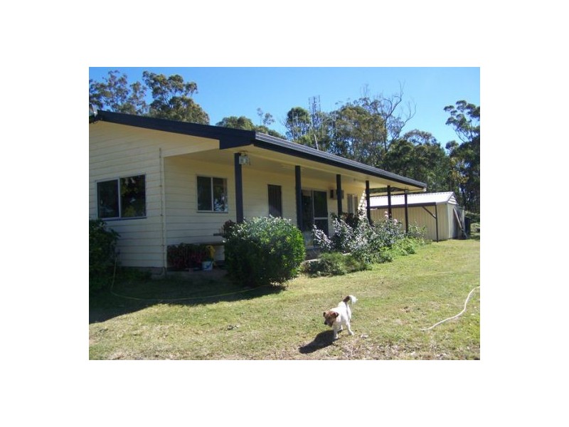 Black Snake QLD 4600
