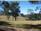 Black Snake QLD 4600