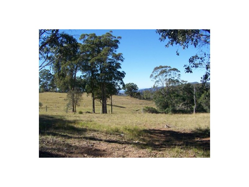 Black Snake QLD 4600
