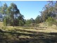 Black Snake QLD 4600