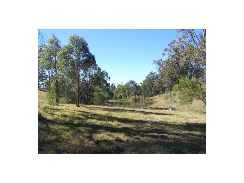 Black Snake QLD 4600