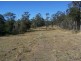 Black Snake QLD 4600