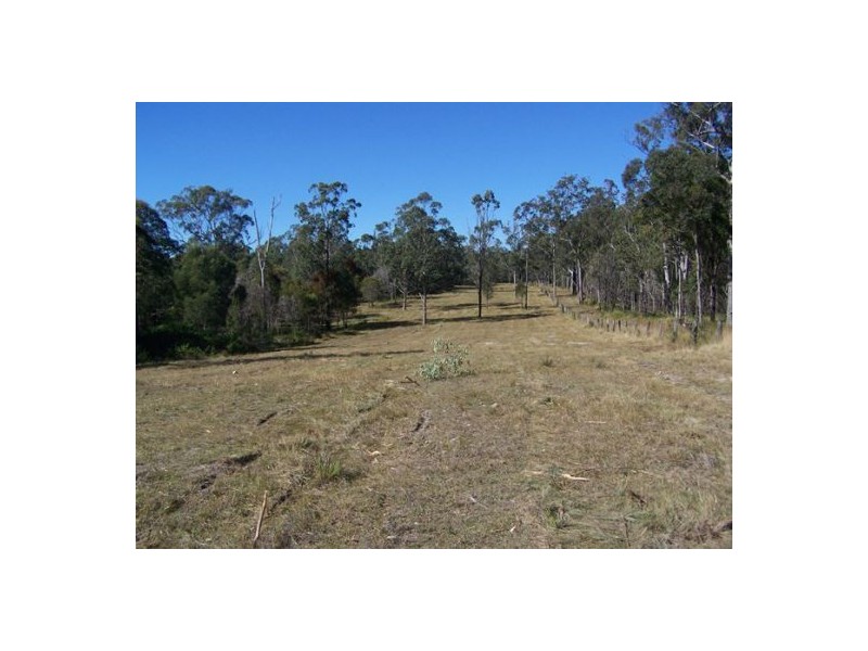 Black Snake QLD 4600