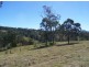 Black Snake QLD 4600