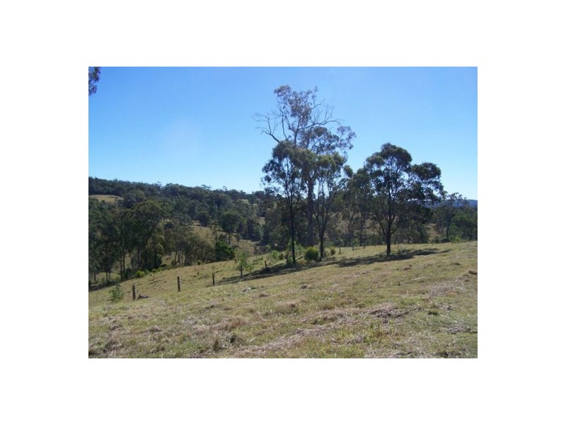 Black Snake QLD 4600