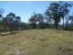 Black Snake QLD 4600