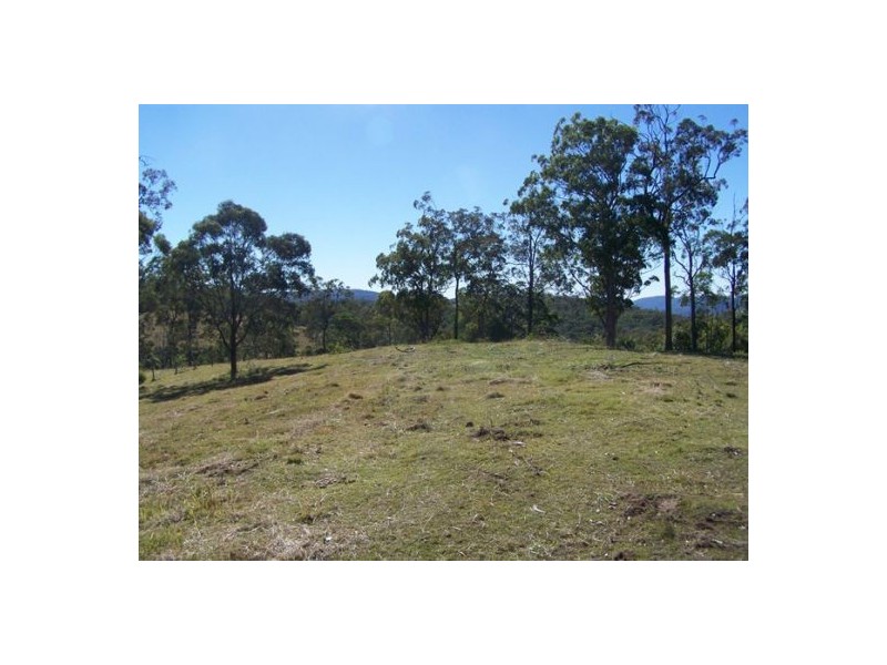 Black Snake QLD 4600