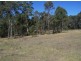 Black Snake QLD 4600