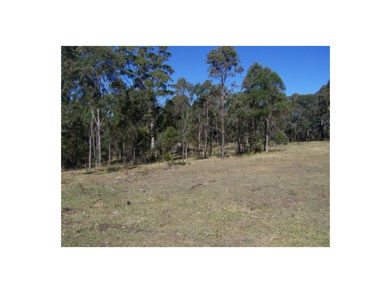 Black Snake QLD 4600