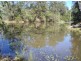 Black Snake QLD 4600