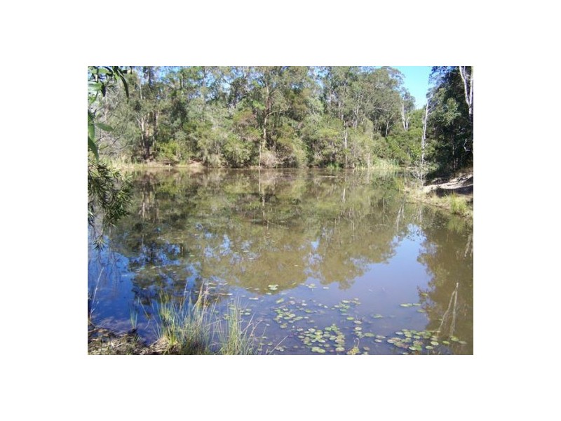 Black Snake QLD 4600