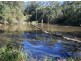 Black Snake QLD 4600