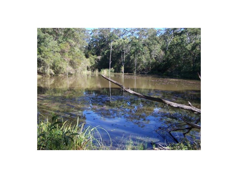 Black Snake QLD 4600