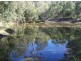 Black Snake QLD 4600