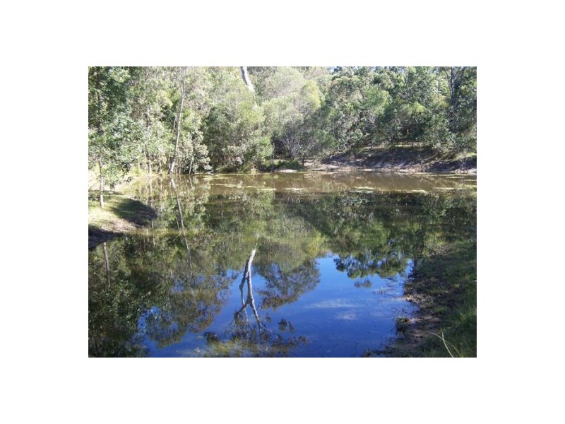 Black Snake QLD 4600