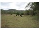 545 Sister Tree Creek, Kin Kin QLD 4571