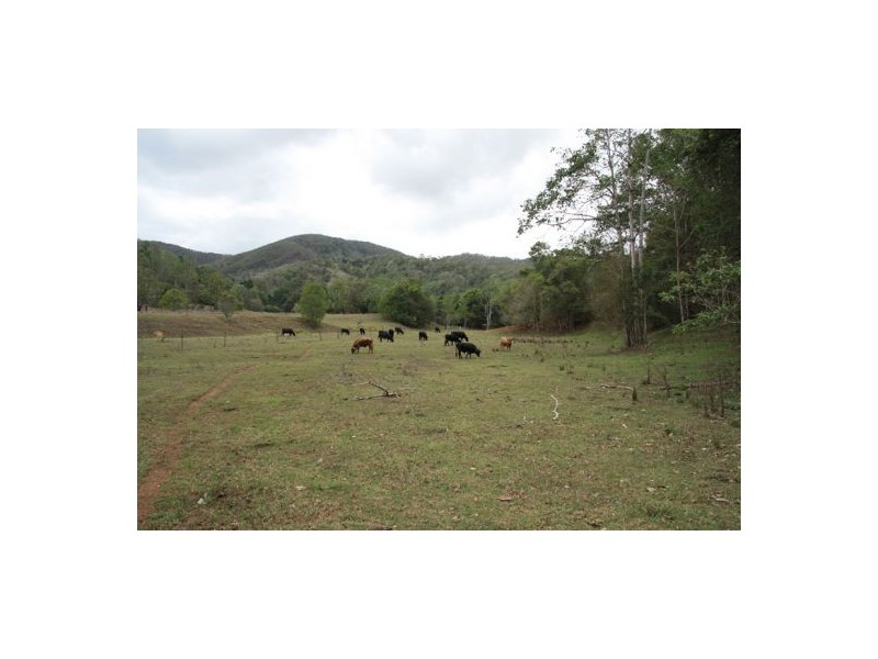 545 Sister Tree Creek, Kin Kin QLD 4571