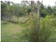 61 Eljays Road, The Palms QLD 4570