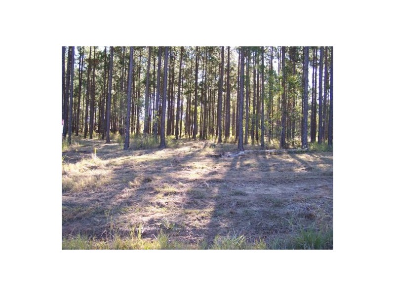 Lot 2 Arborfour Road, Glenwood QLD 4570