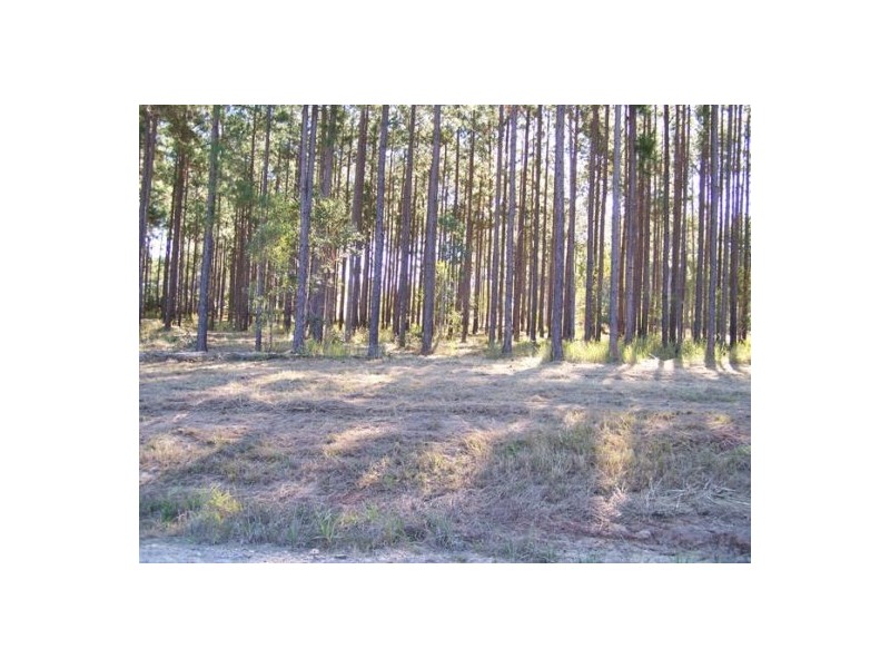 Lot 2 Arborfour Road, Glenwood QLD 4570