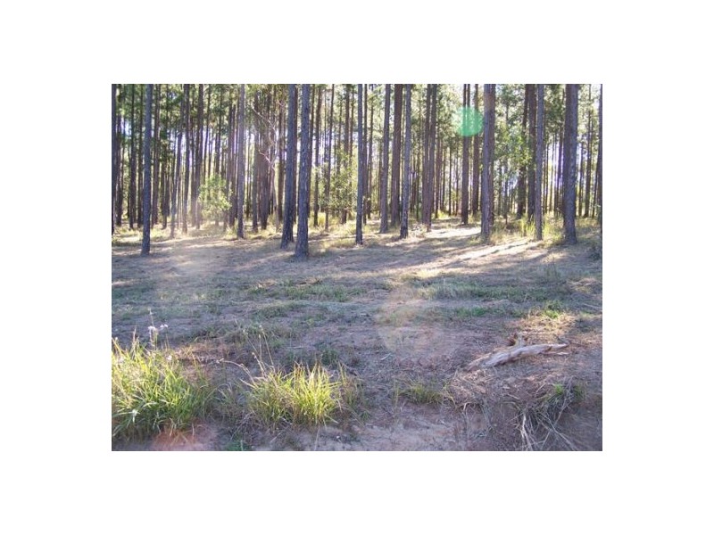 L1 Arborfour Road, Glenwood QLD 4570