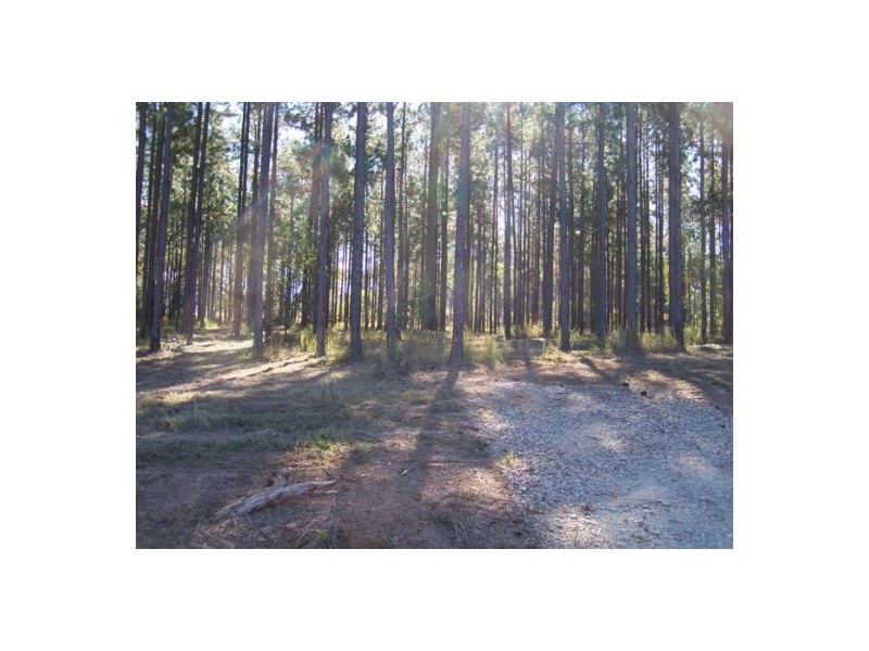 L1 Arborfour Road, Glenwood QLD 4570