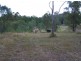Lot 244 Beckmanns Road, Glenwood QLD 4570