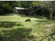 335 Stewart Road, Coondoo QLD 4570