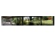 335 Stewart Road, Coondoo QLD 4570