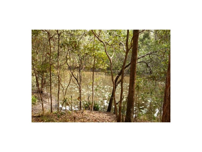 141 Benson Road, Chatsworth QLD 4570